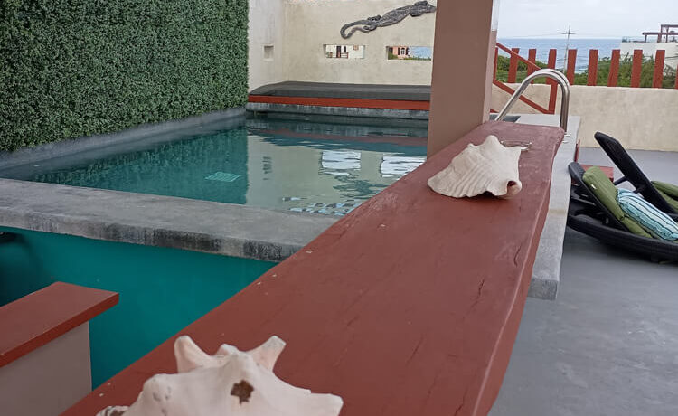 penthouse-tolok-terraza-privada piscina