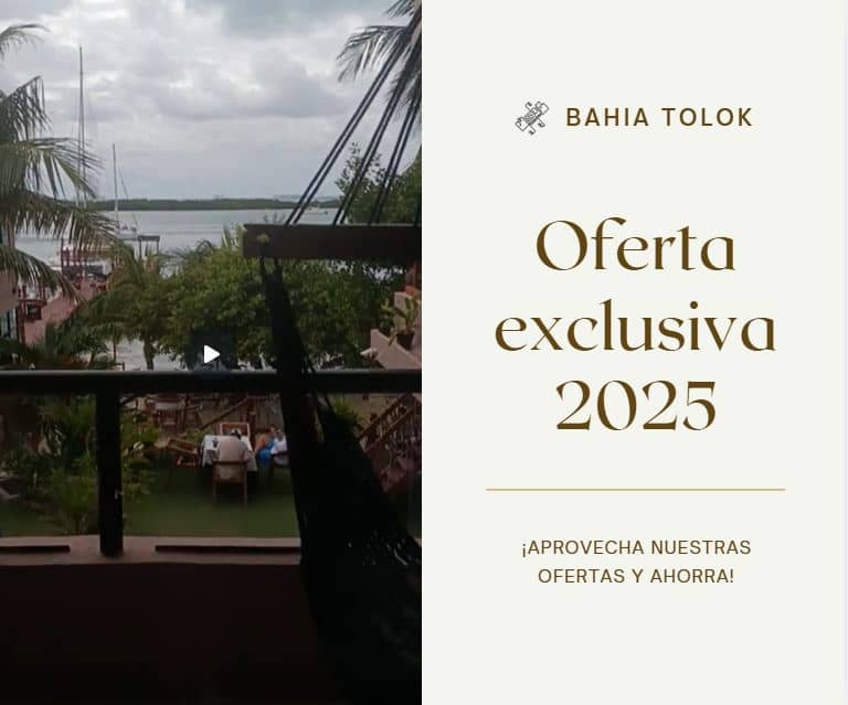 Oferta exclusiva 2025