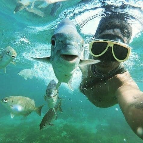 izla-islamujeres-snorkeling-excursion-free-snorkeling