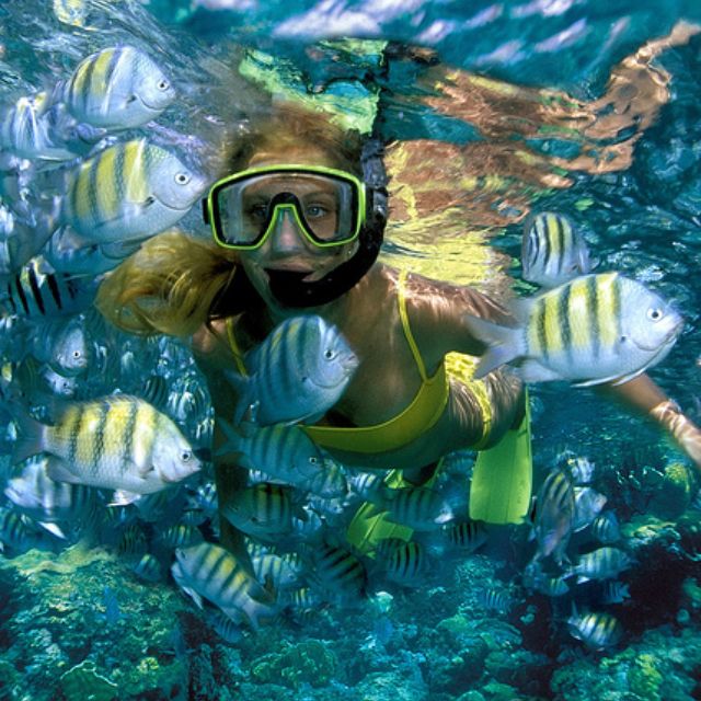 snorkeling-islamujeres-snorkel-fish