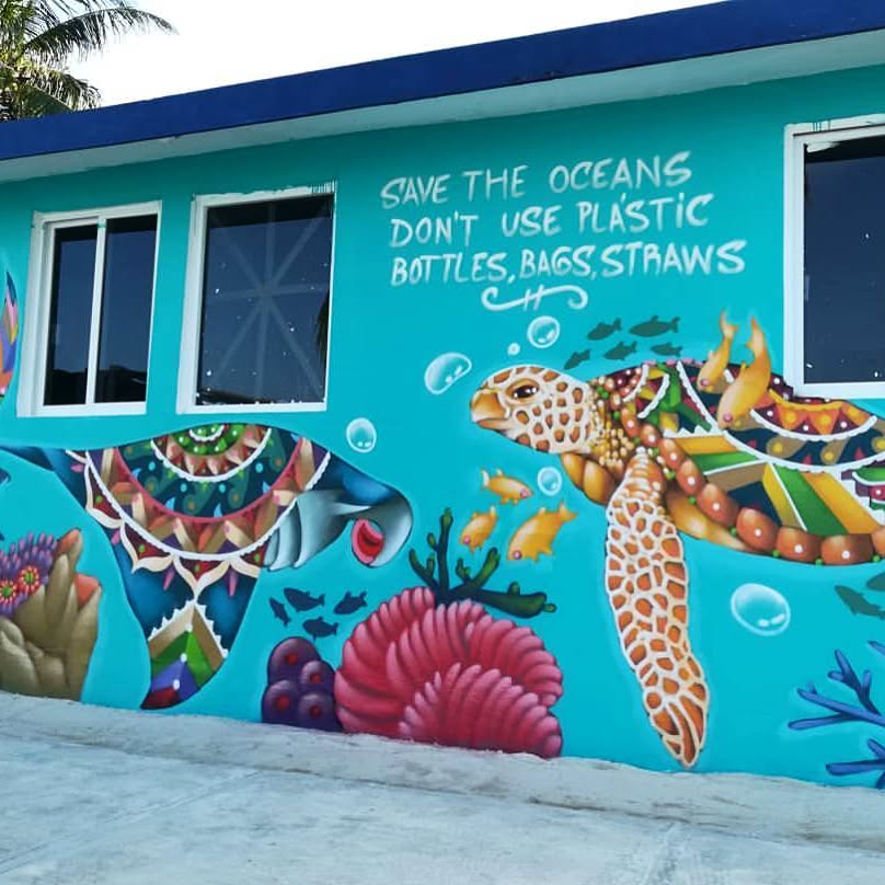 Turtle Nesting and Season in Isla Mujeres
