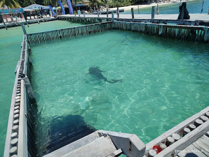 isla-mujeres-playas-playa-tiburón
