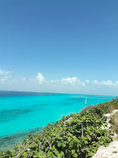 isla-mujeres-playas-playa-playa-pet-friendly-en-isla-mujeres
