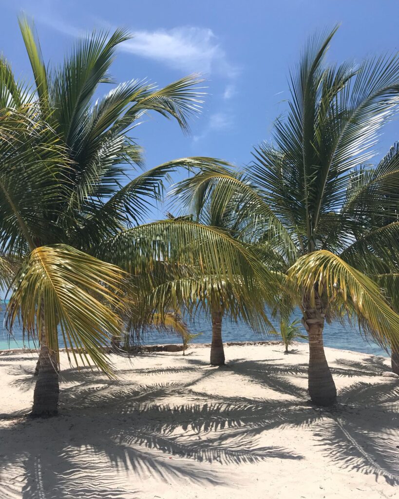 isla-mujeres-playas-playa-indios